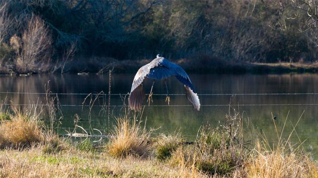 10999 Fm 230, Lovelady, TX 75851