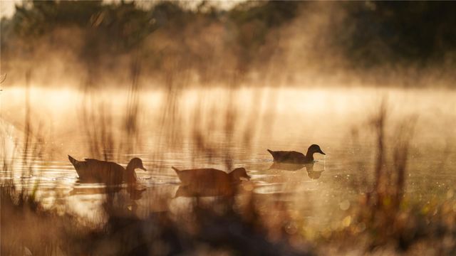 10999 Fm 230, Lovelady, TX 75851