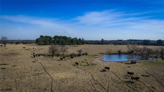 10999 Fm 230, Lovelady, TX 75851