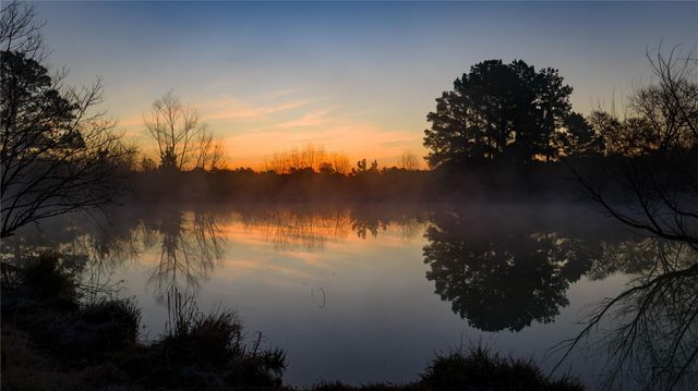 10999 Fm 230, Lovelady, TX 75851