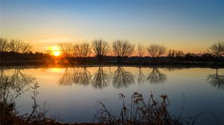 10999 Fm 230, Lovelady, TX 75851