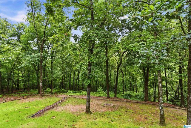 205 CHESTNUT CIRCLE, Alabaster, AL 35007