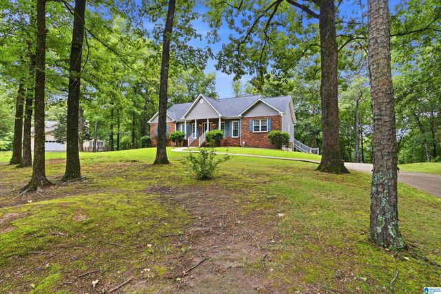 205 CHESTNUT CIRCLE, Alabaster, AL 35007