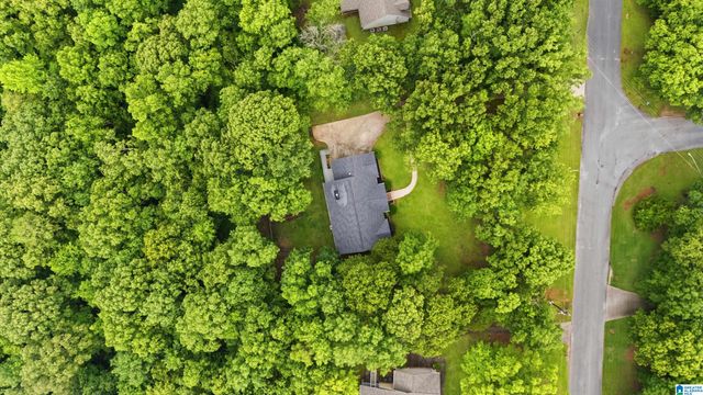 205 CHESTNUT CIRCLE, Alabaster, AL 35007