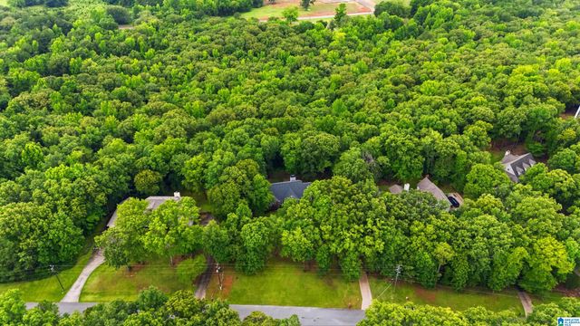 205 CHESTNUT CIRCLE, Alabaster, AL 35007