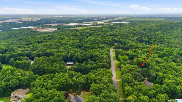 205 CHESTNUT CIRCLE, Alabaster, AL 35007
