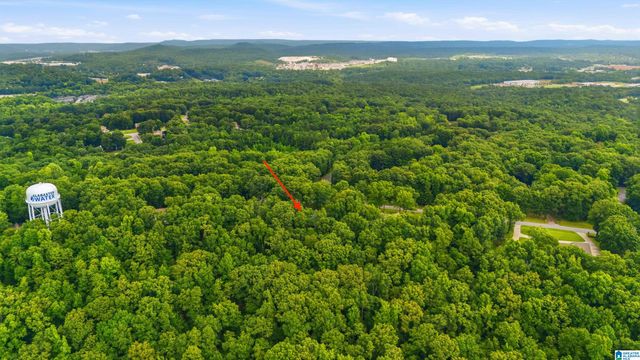 205 CHESTNUT CIRCLE, Alabaster, AL 35007