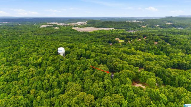 205 CHESTNUT CIRCLE, Alabaster, AL 35007