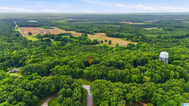 205 CHESTNUT CIRCLE, Alabaster, AL 35007