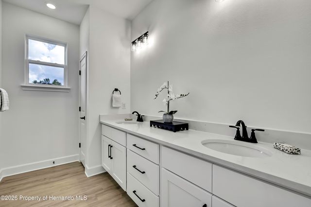 6589 Freeport Drive, Spring Hill, FL 34608