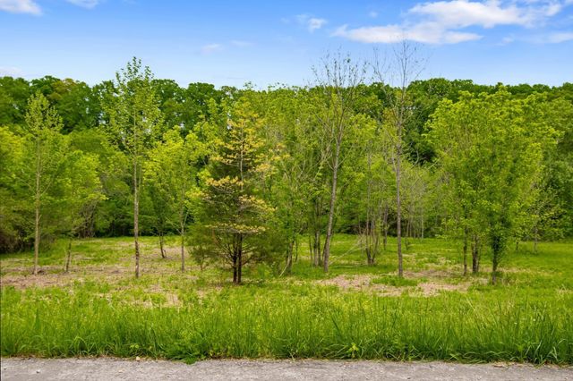 0 Crow Cut Rd, Fairview, TN 37062