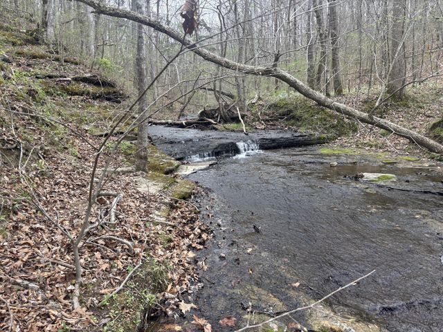 0 Crow Cut Rd, Fairview, TN 37062