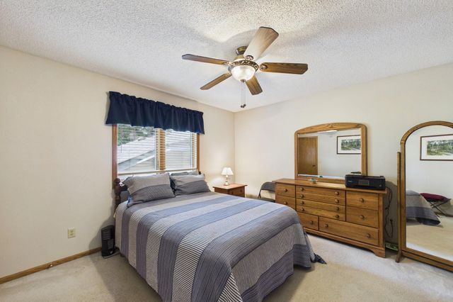 739 Kirche Hill Drive, Carver, MN 55315