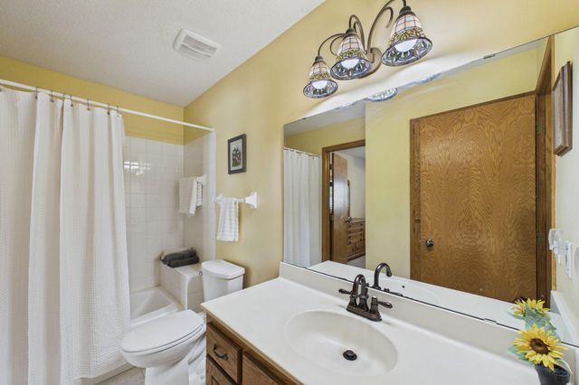 739 Kirche Hill Drive, Carver, MN 55315