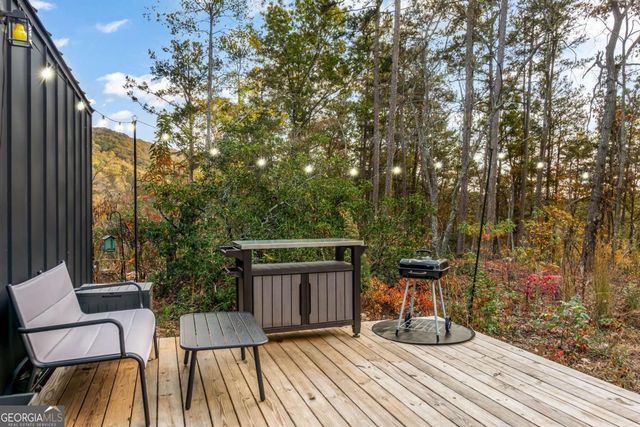 115 Raleigh Ridge Drive, Blue Ridge, GA 30513