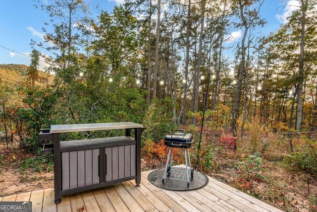 115 Raleigh Ridge Drive, Blue Ridge, GA 30513