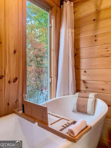 115 Raleigh Ridge Drive, Blue Ridge, GA 30513