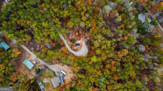 115 Raleigh Ridge Drive, Blue Ridge, GA 30513