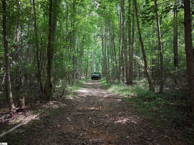 01 Dacusville Road, Marietta, SC 29661