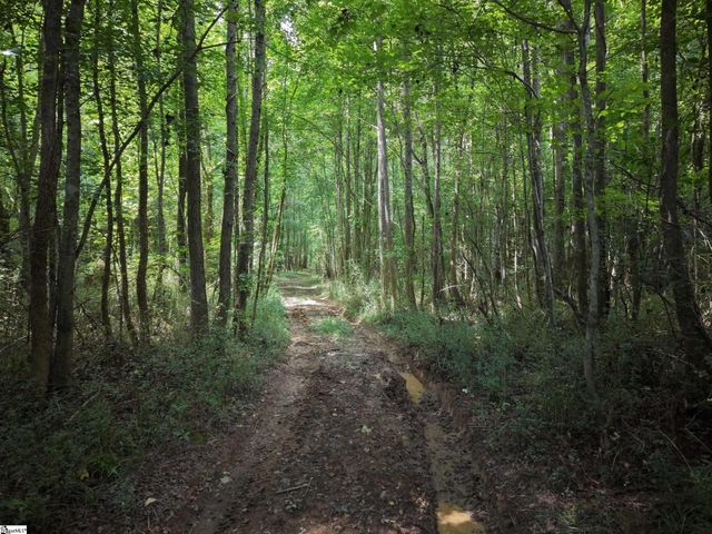 01 Dacusville Road, Marietta, SC 29661