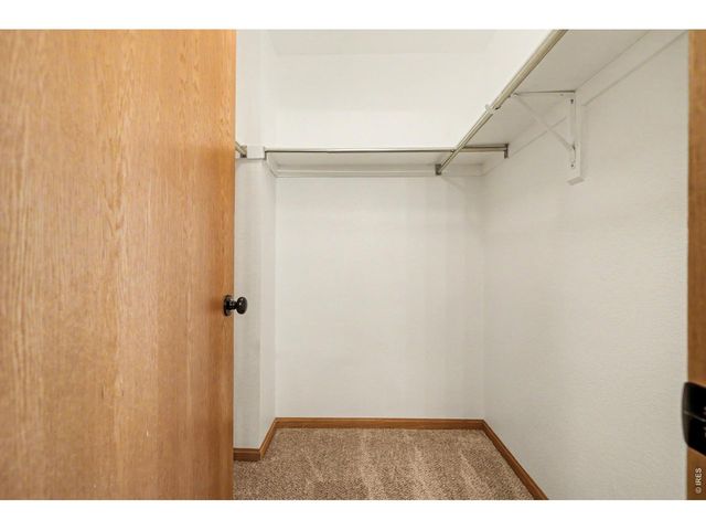 509 Pebble Beach Ave, Johnstown, CO 80534