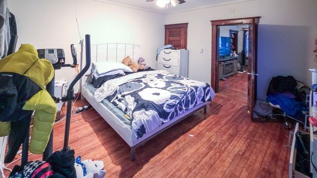 56 Olga Ave, Worcester, MA 01605