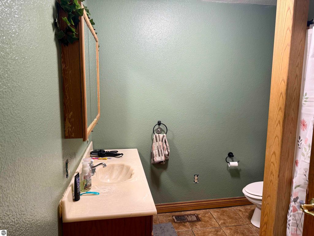 Bathroom interior with green walls, wooden mirror, sink with toiletries, towel rack, and toilet, showcasing features of the home at 325 Main Street, Breckenridge, MI.