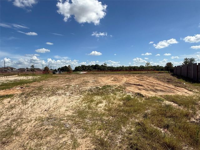 18702 Windy Orchard Street, Manvel, TX 77578