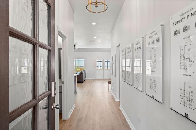 11803 Serena's Song Drive, Willis, TX 77318