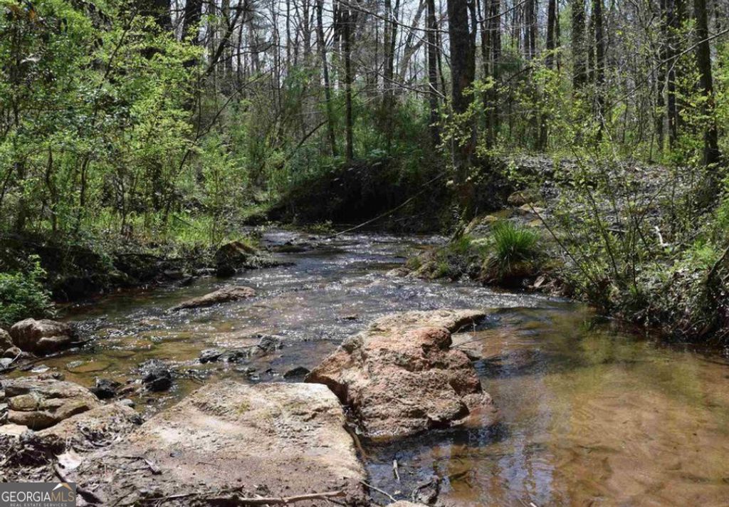 0 Highway 17, Helen, GA 30545