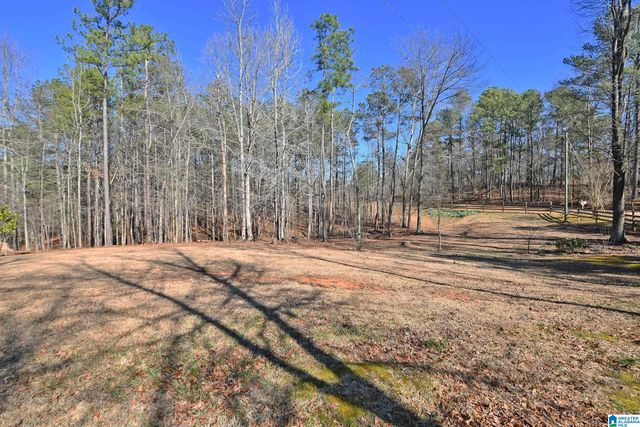 1424 COUNTY ROAD 275, Wedowee, AL 36278