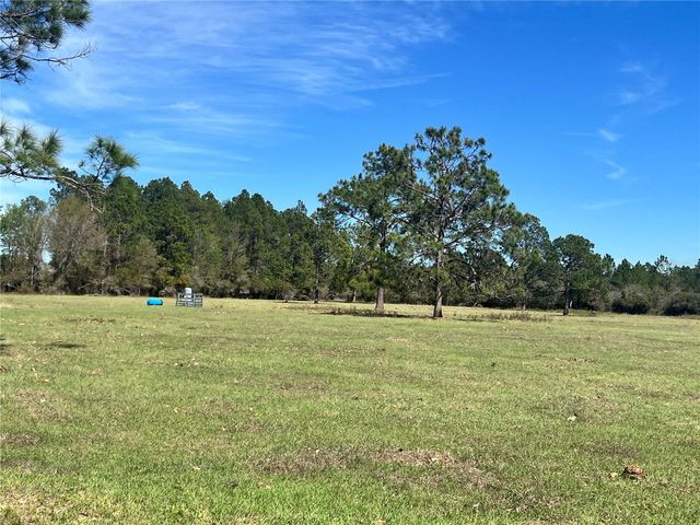 14182 SW 161ST ST, Brooker, FL 32622