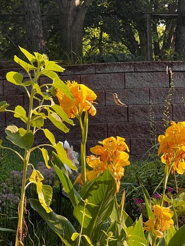 11428 Zion Circle, Bloomington, MN 55437