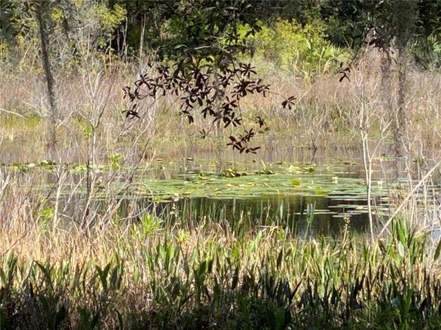 25517 LAUREL VALLEY ROAD, Leesburg, FL 34748