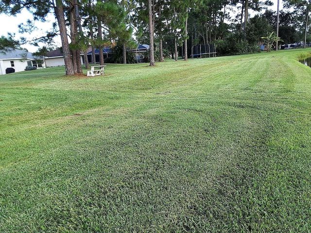 3711 PEACOCK DRIVE, Melbourne, FL 32904