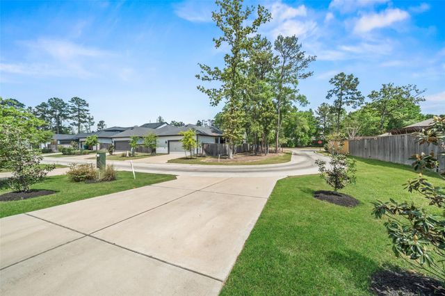 202 Thistle Drive, Montgomery, TX 77316