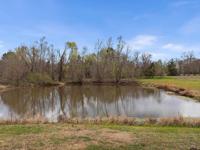 7693 S County Road 374, Henderson, TX 75654