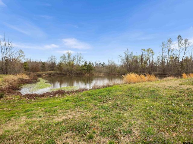 7693 S County Road 374, Henderson, TX 75654