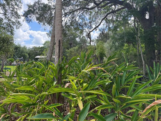 11878 W RIVERHAVEN DRIVE, Homosassa, FL 34448