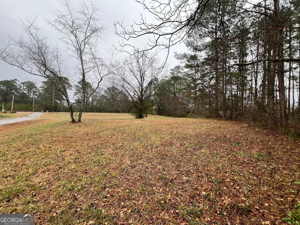 100 Lucinda Walk, South Fulton, GA 30349