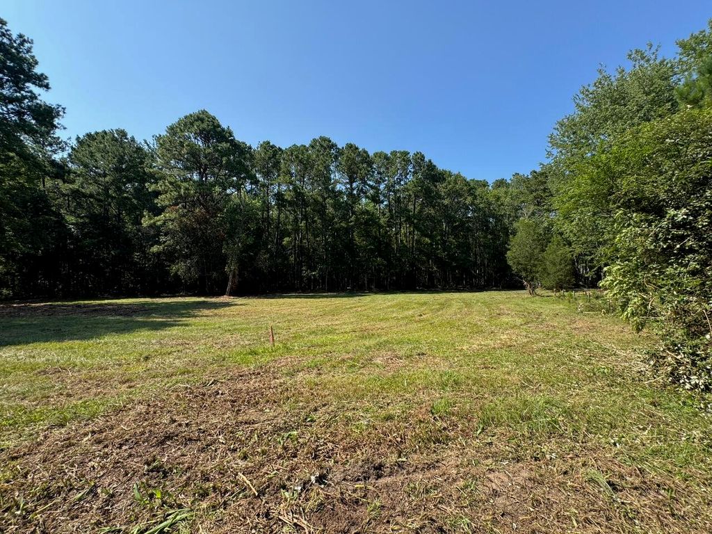 0 Fish Road 2, Ridgeville, SC 29472