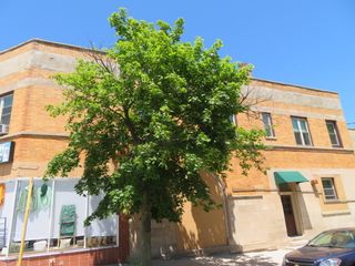 1552 W Highland Avenue 2E, Chicago, IL 60660