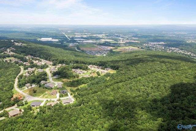 35.5 Acres Hawks Way, Huntsville, AL 35811