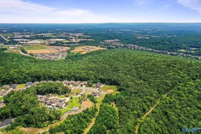 35.5 Acres Hawks Way, Huntsville, AL 35811