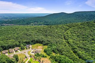 35.5 Acres Hawks Way, Huntsville, AL 35811