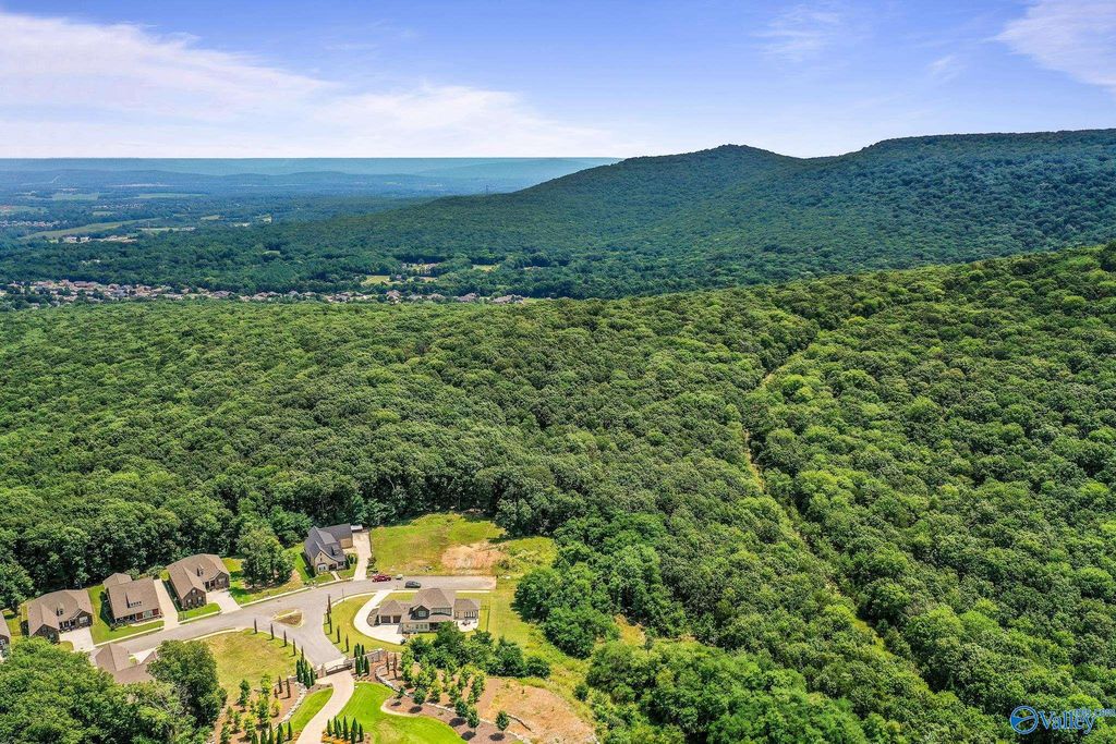 35.5 Acres Hawks Way, Huntsville, AL 35811