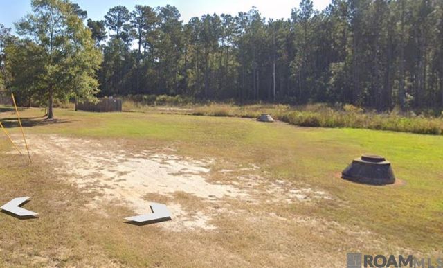 31618 Ferina Ln, Albany, LA 70711