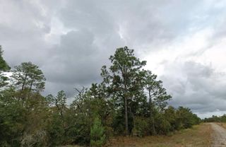 BENTLEY COURT, Chipley, FL 32428