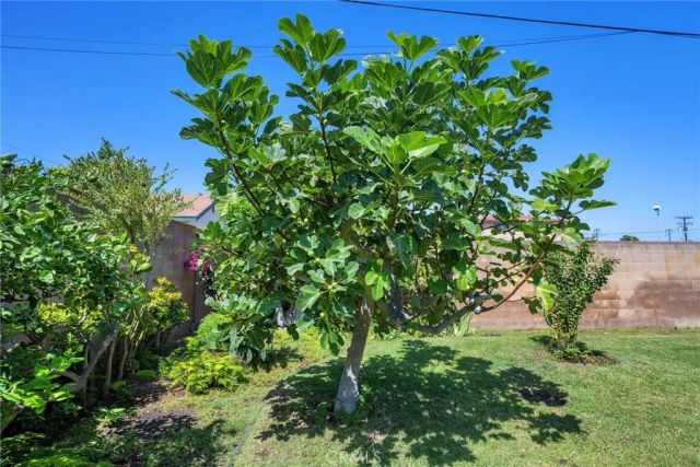 25433 Adamo Avenue, Lomita, CA 90717