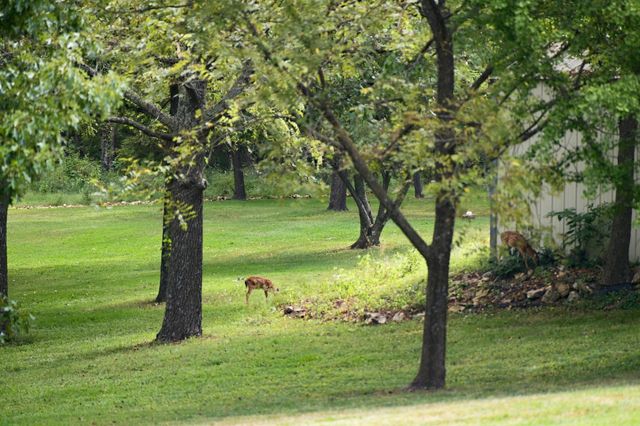 457 Nightcap Drive, Billings, MO 65610